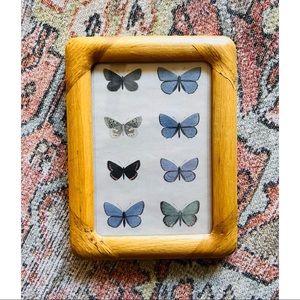 Butterfly Print in Wooden Frame